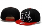 DC Shoes snapback-21