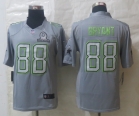 Nike Dallas Cowboys 88 Bryant Pro Bowl Grey Elite Jerseys