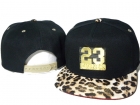 Jordan snapback-103