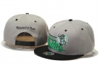 NBA Boston Celtics snapback-29