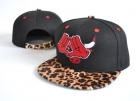 NBA BULL snapback-105