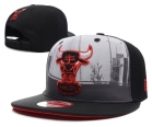 NBA BULL snapback-125