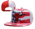 NBA BULL snapback-136