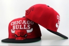 NBA BULL snapback-154