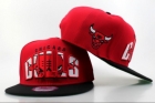 NBA BULL snapback-167