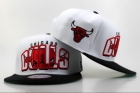 NBA BULL snapback-168