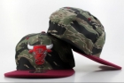 NBA BULL snapback-178