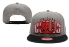 NBA BULL snapback-193