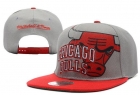 NBA BULL snapback-224