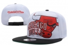 NBA BULL snapback-225