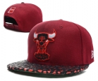 NBA BULL snapback-239