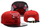 NBA BULL snapback-246