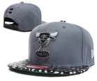 NBA BULL snapback-255