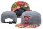 NBA BULL snapback-261