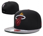 NBA Miami heats-20