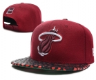 NBA Miami heats-21