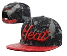 NBA Miami heats-30