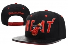 NBA Miami heats-39