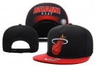 NBA Miami heats-40