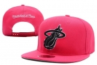 NBA Miami heats-46