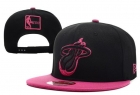 NBA Miami heats-53