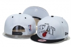 NBA Miami heats-79