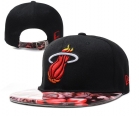 NBA Miami heats-124