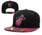 NBA Miami heats-141