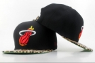 NBA Miami heats-171