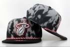 NBA Miami heats-185