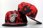 NBA Miami heats-186