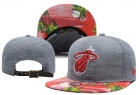 NBA Miami heats-191