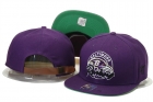 NFL baltimore Ravens snapback-13