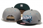 NFL Carolina Panthers hats-13