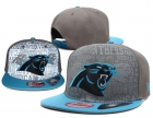 NFL Carolina Panthers hats-23