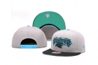 NFL Carolina Panthers hats-25