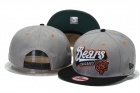 NFL Chicago Bears Snapback-18