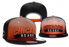 NFL Chicago Bears Snapback-24