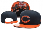 NFL Chicago Bears Snapback-28