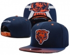 NFL Chicago Bears Snapback-31