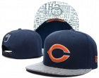 NFL Chicago Bears Snapback-32