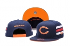 NFL Chicago Bears Snapback-33