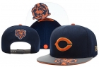 NFL Chicago Bears Snapback-39