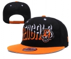 NFL Cincinnati Bengals snapback-04