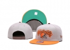 NFL Cleveland Browns hats-02