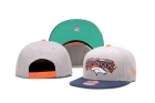 NFL Denver Broncos snapback-79