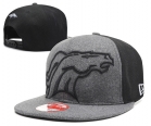 NFL Denver Broncos snapback-85