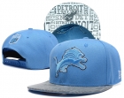 NFL Detroit Lions Snapback-16