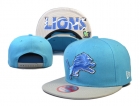 NFL Detroit Lions Snapback-18