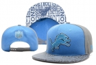 NFL Detroit Lions Snapback-19